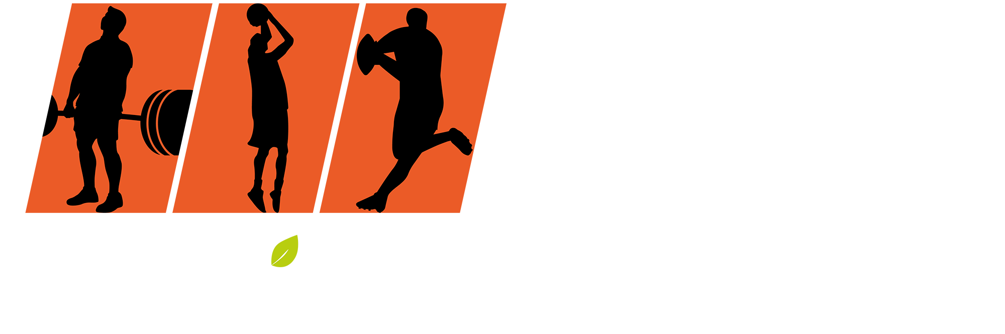 logo-HBS_def_2025-ok-white